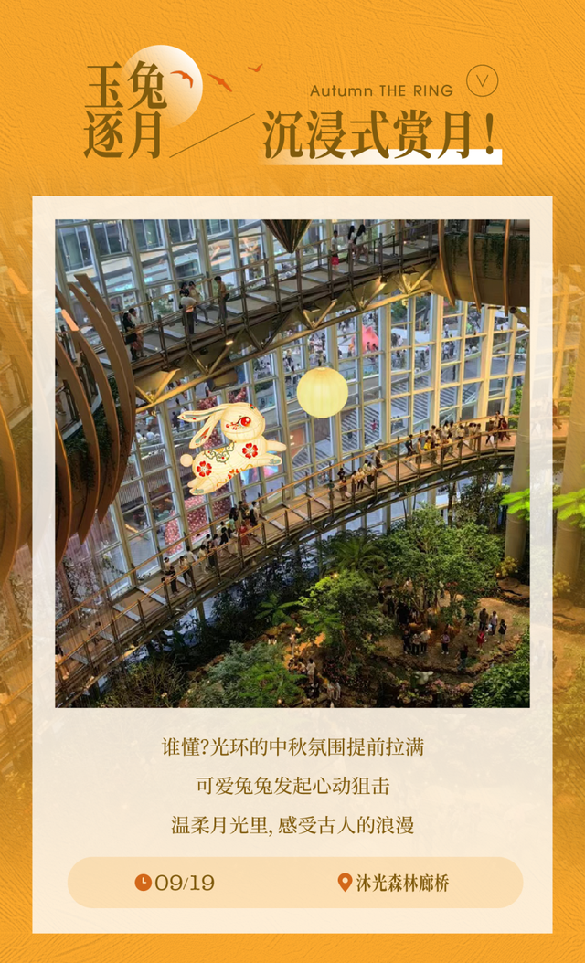 不用去新疆，重庆人“家门口”就有油画里的秋天！
