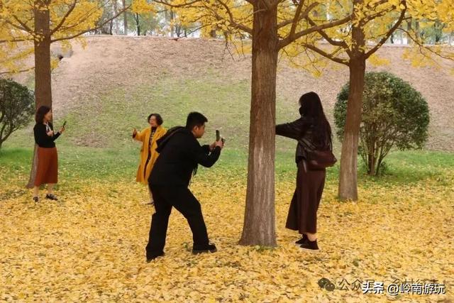 全部免费！渭河南河堤路赏秋攻略大全，那风景简直美爆了！