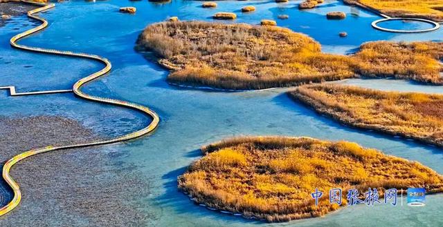 甘肃张掖：湿地披“金”