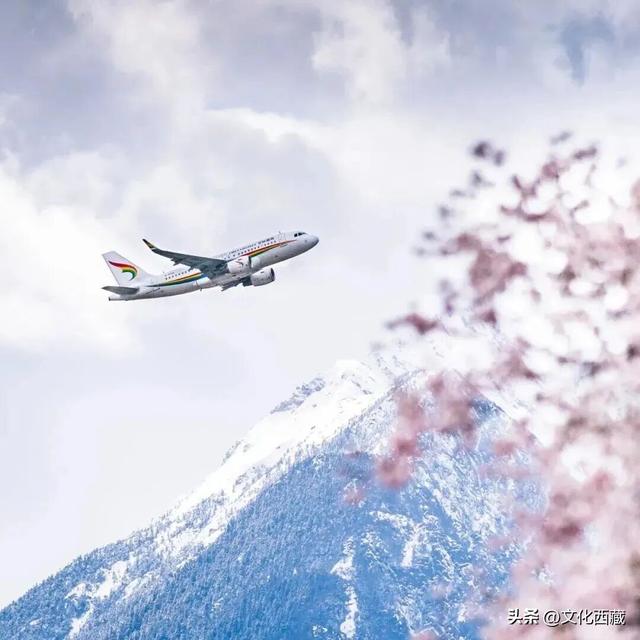 林芝桃花节花期已定！中国最美桃花，超详细打卡攻略来了！