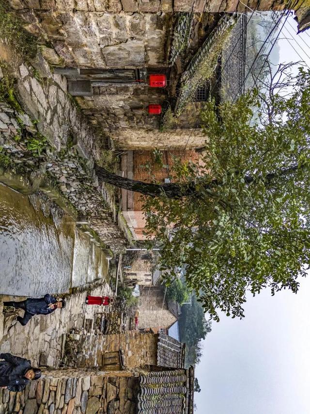 长城一号旅游公路：在秋日斑斓间，赴一场历史与自然的约会