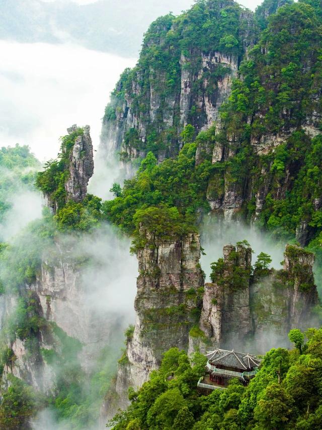 速来打卡！2025 金秀盘王节，解锁瑶族文化狂欢新姿势