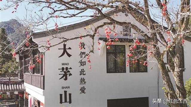 红燃翠岭绿铸魂 大茅山奏响千年交响