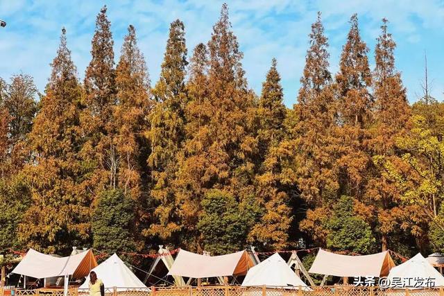 周末去打卡丨太好拍~东太湖绝美机位，“框框”出大片！