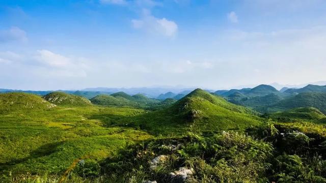 乡游黔中 · 百里杜鹃管理区 兴隆村丨秋色染杜鹃岭，山野果香醉清风