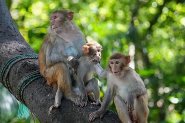 地理冷知识—海南陵水