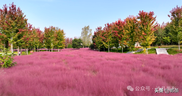 涉县：美拉德配色里，藏着橙黄橘绿的诗意