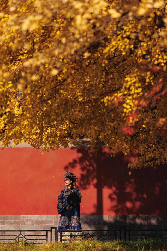 你会怀念这个秋天吗?