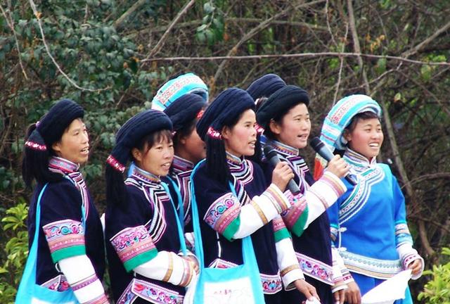 带着孙女去旅行（168）罗平油菜花海游