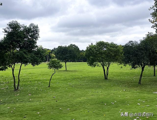 成都公园难得一见的旷野之景，画面超级唯美，地铁公交到达！