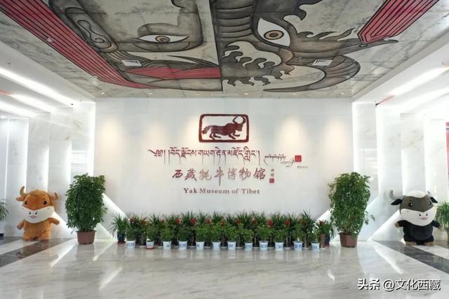 世界唯一！全年免费开放！西藏小众博物馆！99%的人没去过！