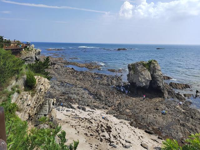 夏日东北行:8月7日,在大连金石滩,观察典型海岸侵蚀地貌。