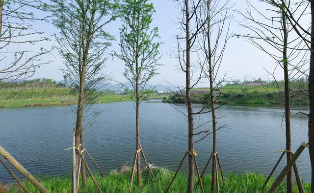 周末晒太阳！这几地有湖水+草坪+1h可达