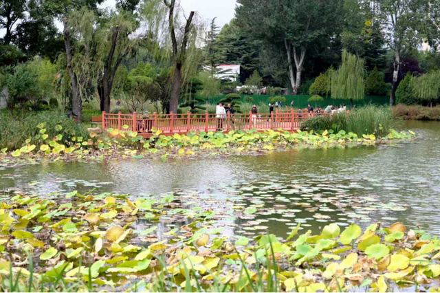 记者实拍！长治市人民公园开放，这些美景别错过