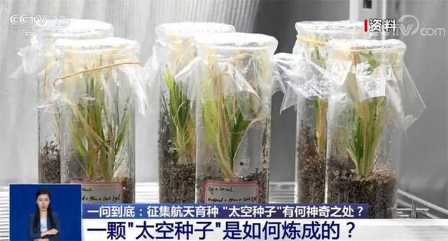 航天事业危险巨大？烧钱没意义？中国为什么大力发展航天事业？