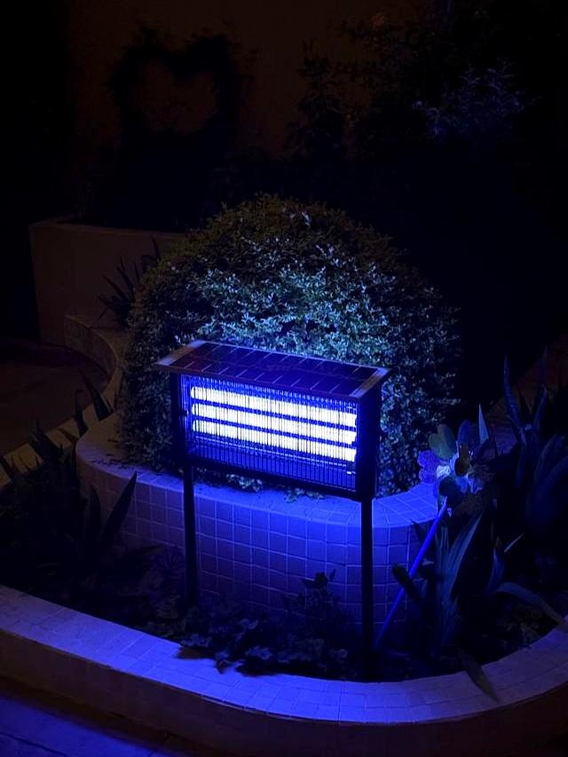 解决小院的6大烦恼，带你一分钟了解