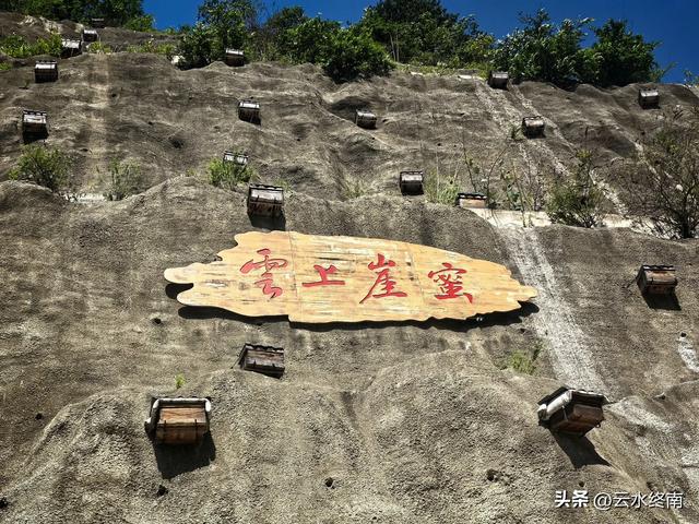 秦岭深山一条导航不出来的路,却是一条千年古道,有老屋有古树