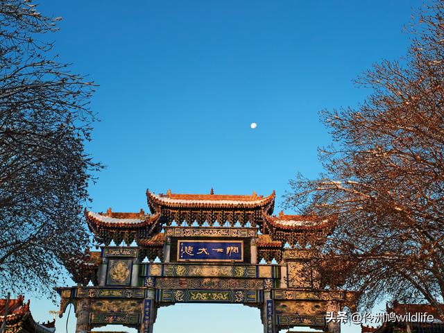 新疆乌鲁木齐红光山大佛寺