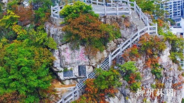 柳州市雀儿山“红”了！