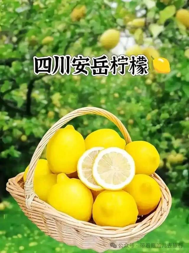 这座被严重低估的川东小城，千年石刻万亩柠檬，到底藏着多少惊喜
