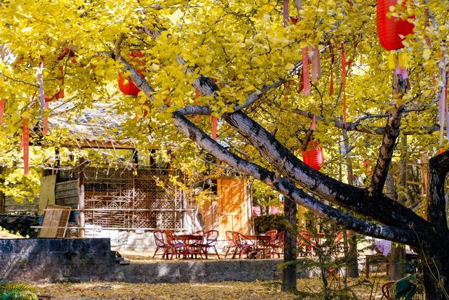 高铁直达！11月必去的6个宝藏小城，物价低又好玩，适合小住几天