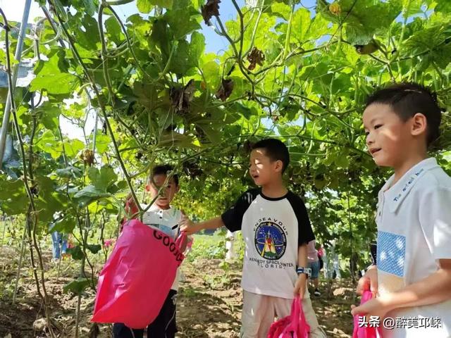 近悦远来 玩转邛崃 | 天府崃禧，邛崃好甜~