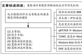 葛根汤干预脊髓型颈椎病模型大鼠神经炎症反应和凋亡的作用图片