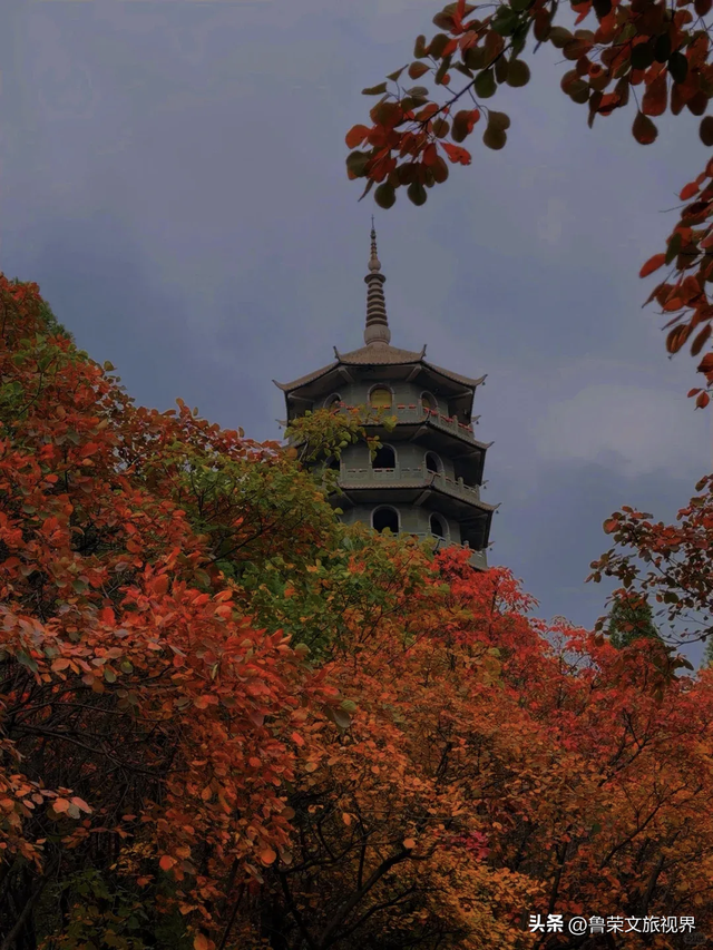 11月旅行：在山河秘境中，邂逅最本真的秋日浪漫