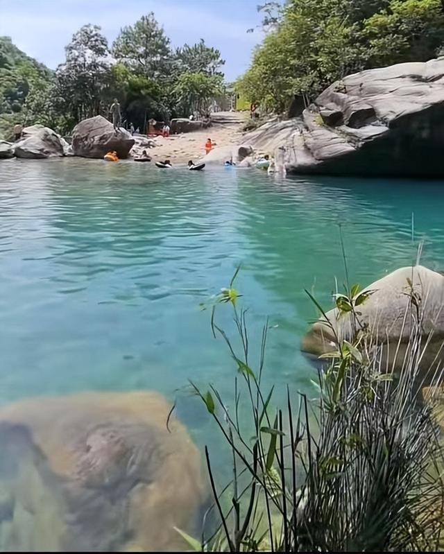 失联5人均已遇难！被曝死状惨烈，知情人曝真相，没一个值得同情