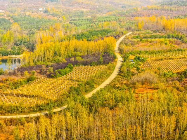 泗水县万紫千红旅游区：静谧而斑斓的生态画卷