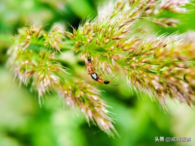 威海很美，但快乐出行需要警惕这些危险的“隐形邻居”