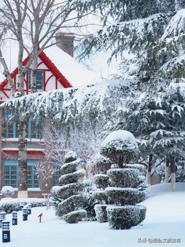 【乐游烟台】十二月好去处丨雪雪雪！烟台即将美成仙境