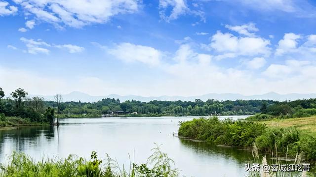 藏在成都的“慢生活密码”,本地人周末全靠这3地续命!