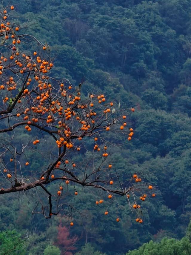 周末好去处 | 被临沂户外徒步地 美哭了！