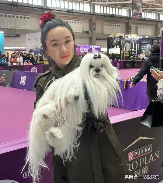 霍思燕的发际线，整齐的像芭比娃娃新换的头皮，一眼就好假！