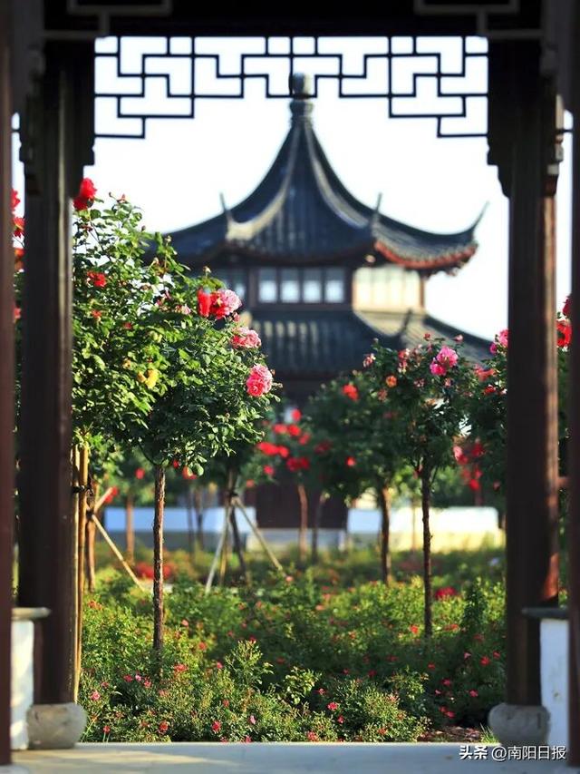 南阳秋色进行时：99%游客错过的6处绝美机位全公开