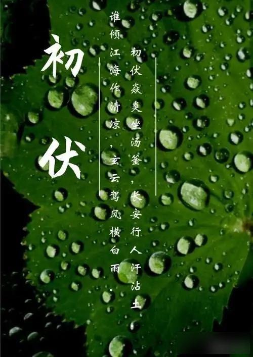 入伏前高温预警，农谚“热死牛”当真？短伏天藏什么秘密？