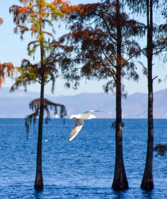 滇超联赛｜@大理保山 看惯了大理的风花雪月，再来体验下保山的高山流水吧