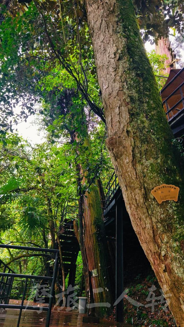 皖浙摩旅二人转——松阳横坑村篇（下）