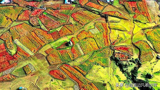 《219西藏南南线》中尼边境：乃夏村 晨雾织彩缎，田园藏仙境