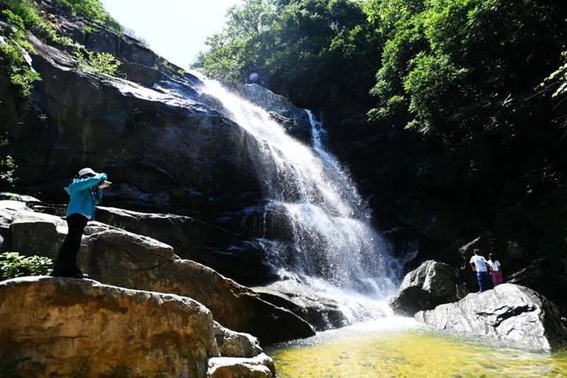 泌阳九龙瀑与池杉林：山水相依的夏日胜景