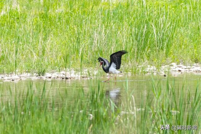 滦平，不普通！