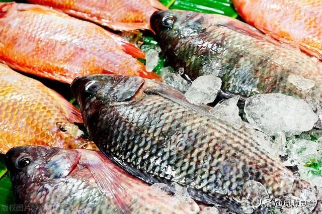 鳕鱼多少钱一斤2021 2026年鳕鱼多少钱一斤2025最新价格