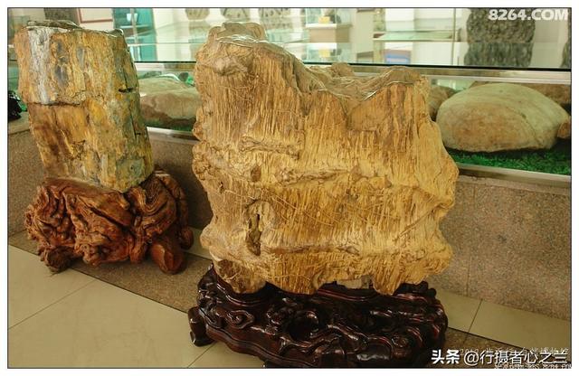 山东行游影记（34）—平邑天宇自然博物馆（九）