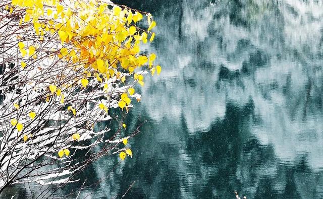 松坪沟景区免门票啦！