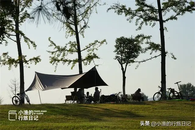西安这处免费的世界遗产，藏着最治愈的秋色！自带滤镜，无敌出片