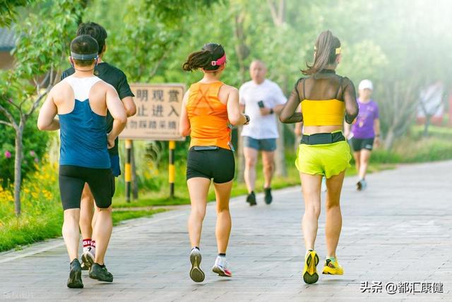 科学减肥新主张：膳食纤维代餐如何成为“代谢加速器”？