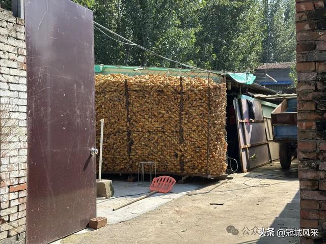 冠县乡韵·兰沃乡大柳邵村