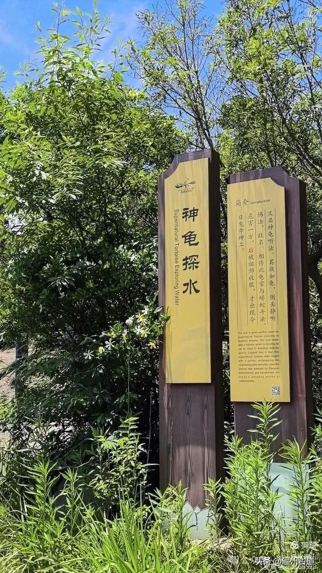 大多浙江人不知道的小众秘境，绿野仙踪！秘藏了“浙东第一古道"