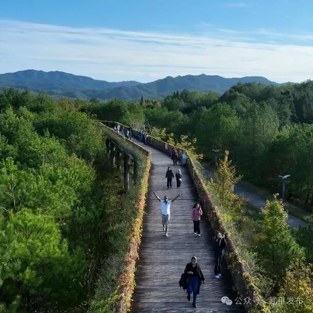 武平也走向“国际范”啦！11国林业专家齐聚千鹭湖，为了这件事……